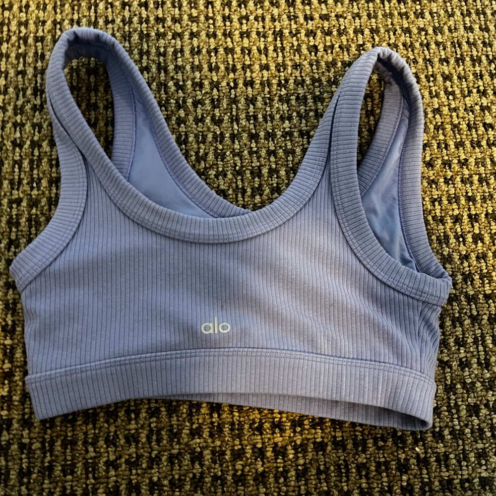 Purple Alo Yoga Sports Bra